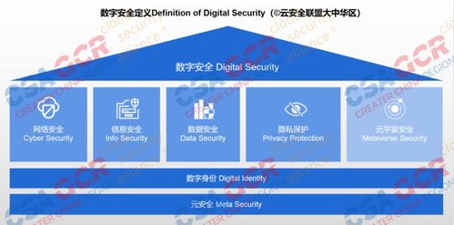 數(shù)字安全框架首發(fā) 數(shù)字經(jīng)濟騰飛，網(wǎng)絡(luò)與信息安全軟件開發(fā)護航